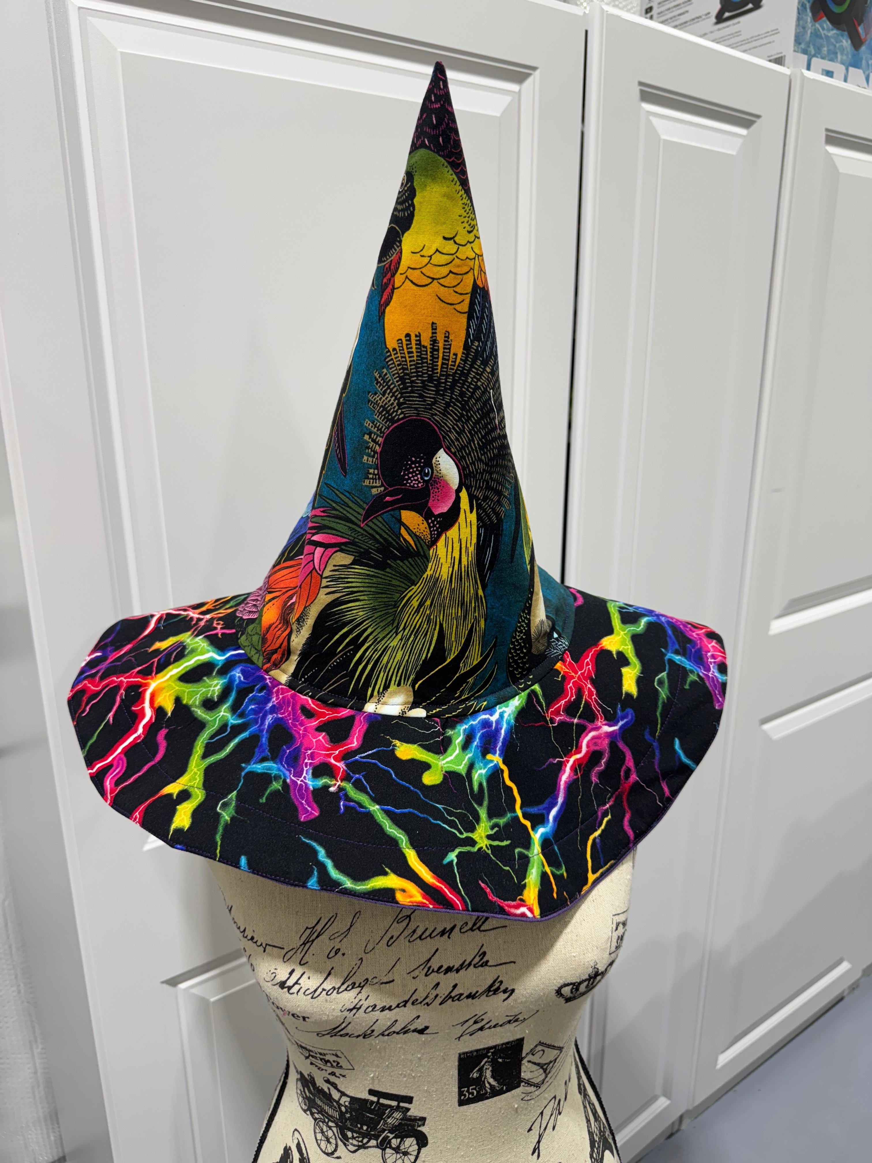 Tropical Birds and Neon Lightning Witch or Wizards Hat