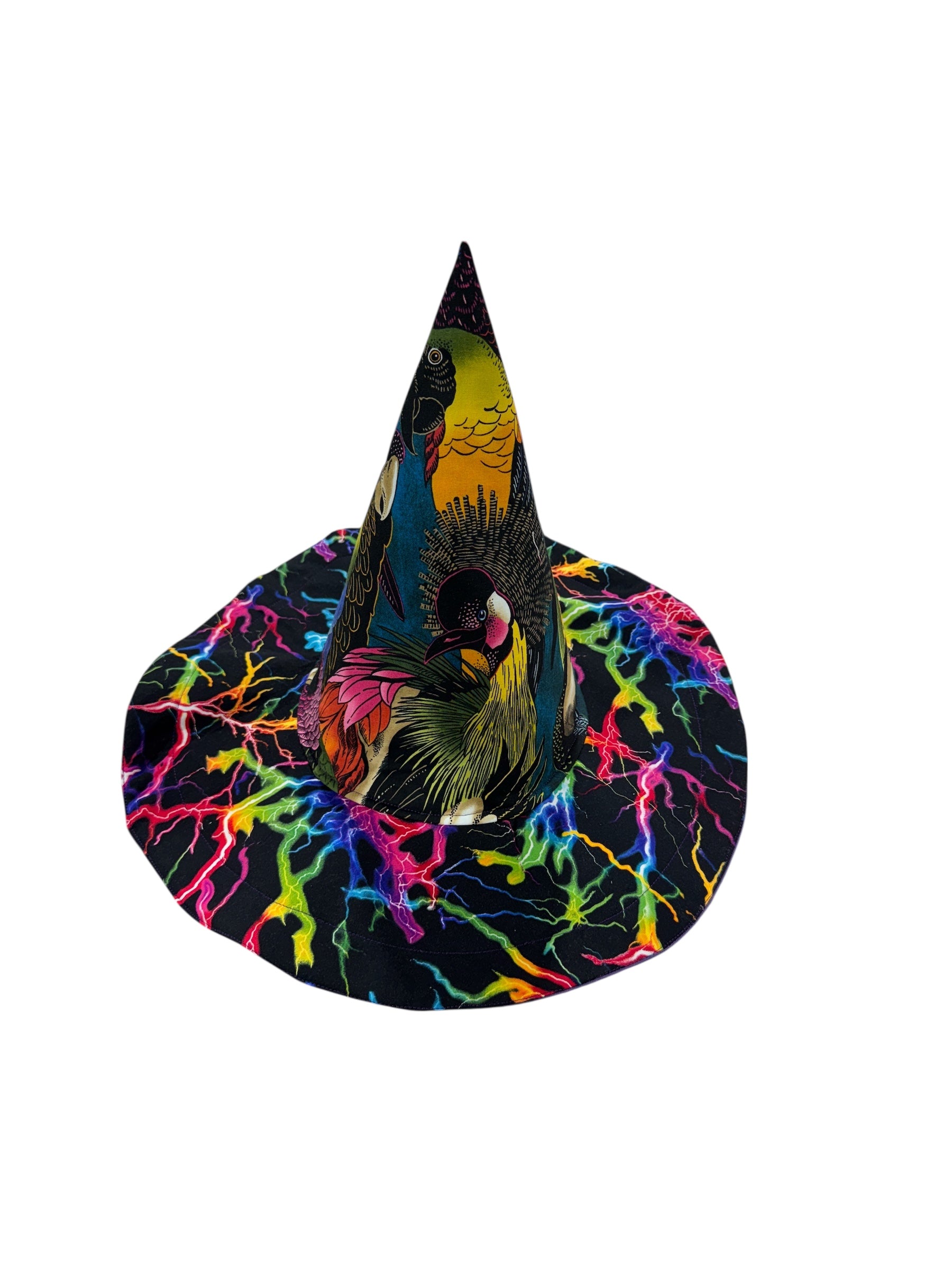 Tropical Birds and Neon Lightning Witch or Wizards Hat