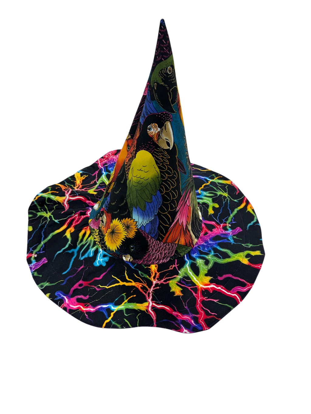 Tropical Birds and Neon Lightning Witch or Wizards Hat