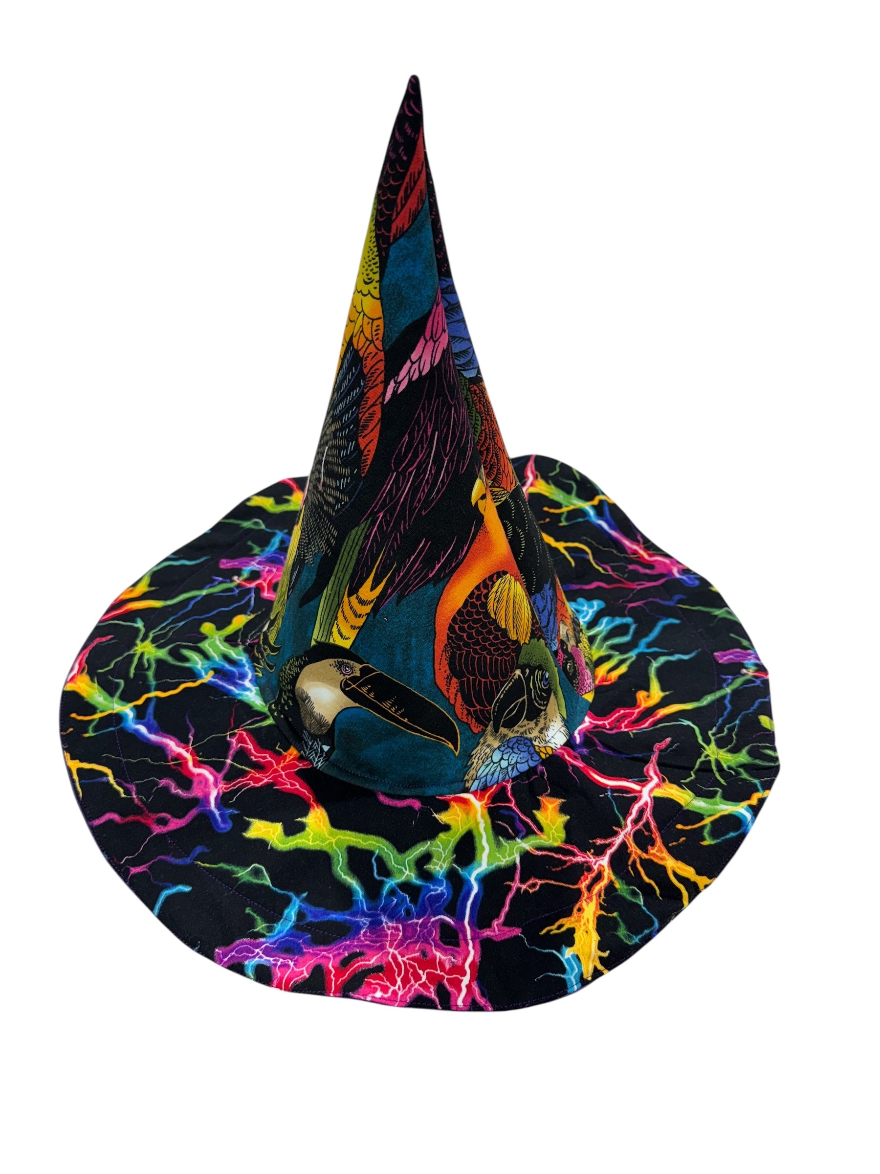 Tropical Birds and Neon Lightning Witch or Wizards Hat