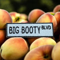 Big Booty Blvd - Iron-on Patch.