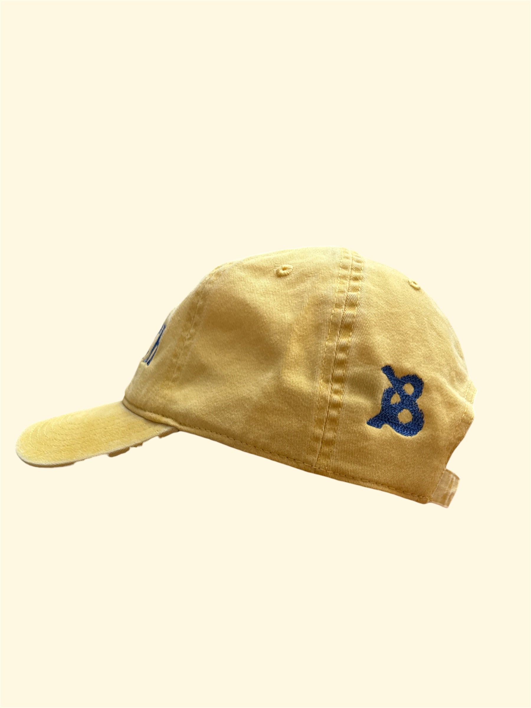 BUTTER  Dad Hat