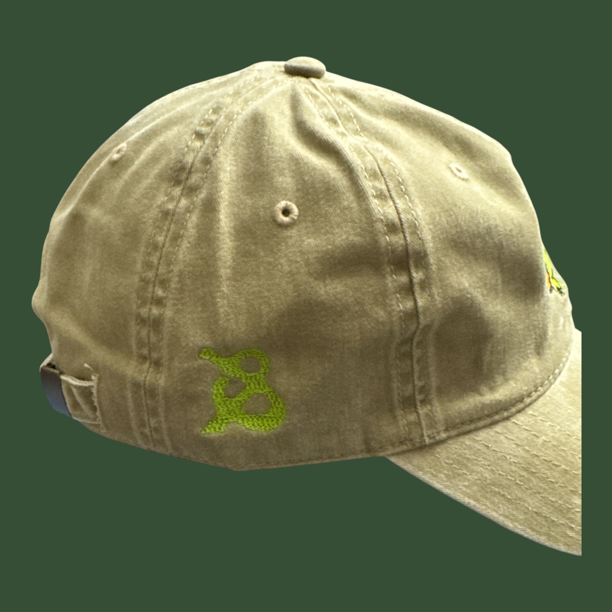 Banjo Toad Baseball cap